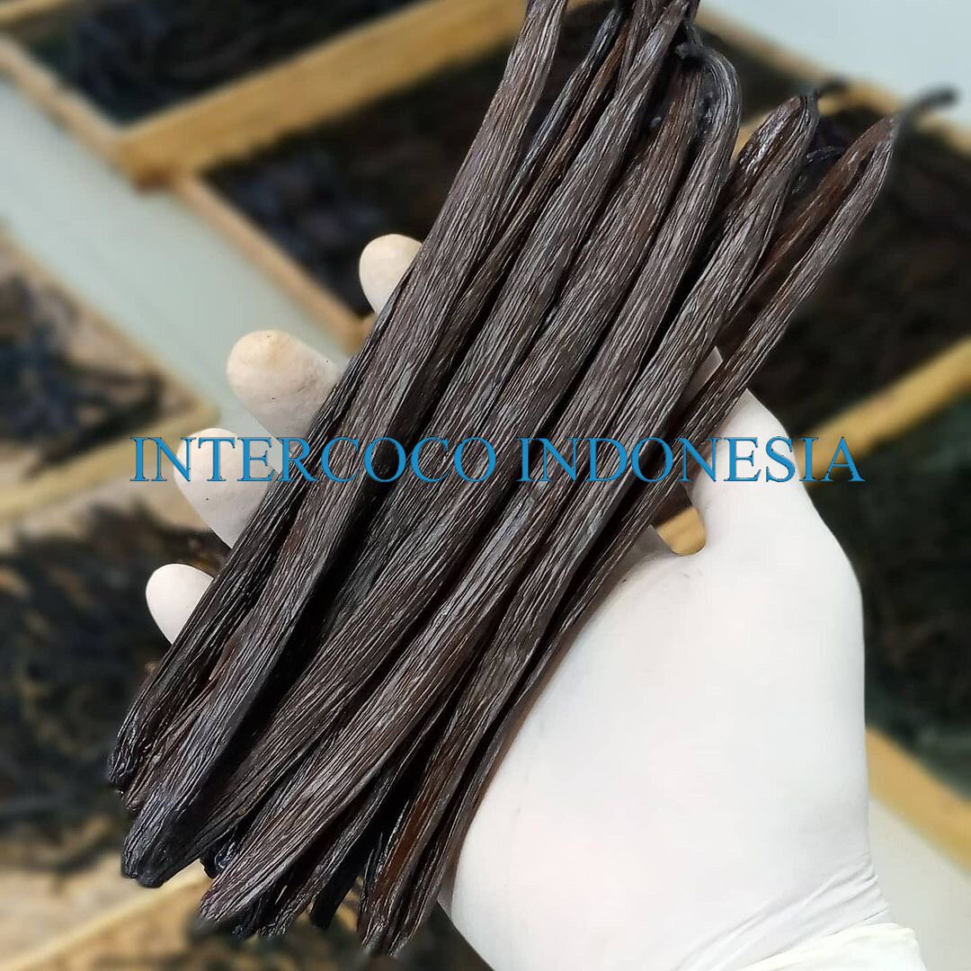 Intercoco Indonesia | Medan