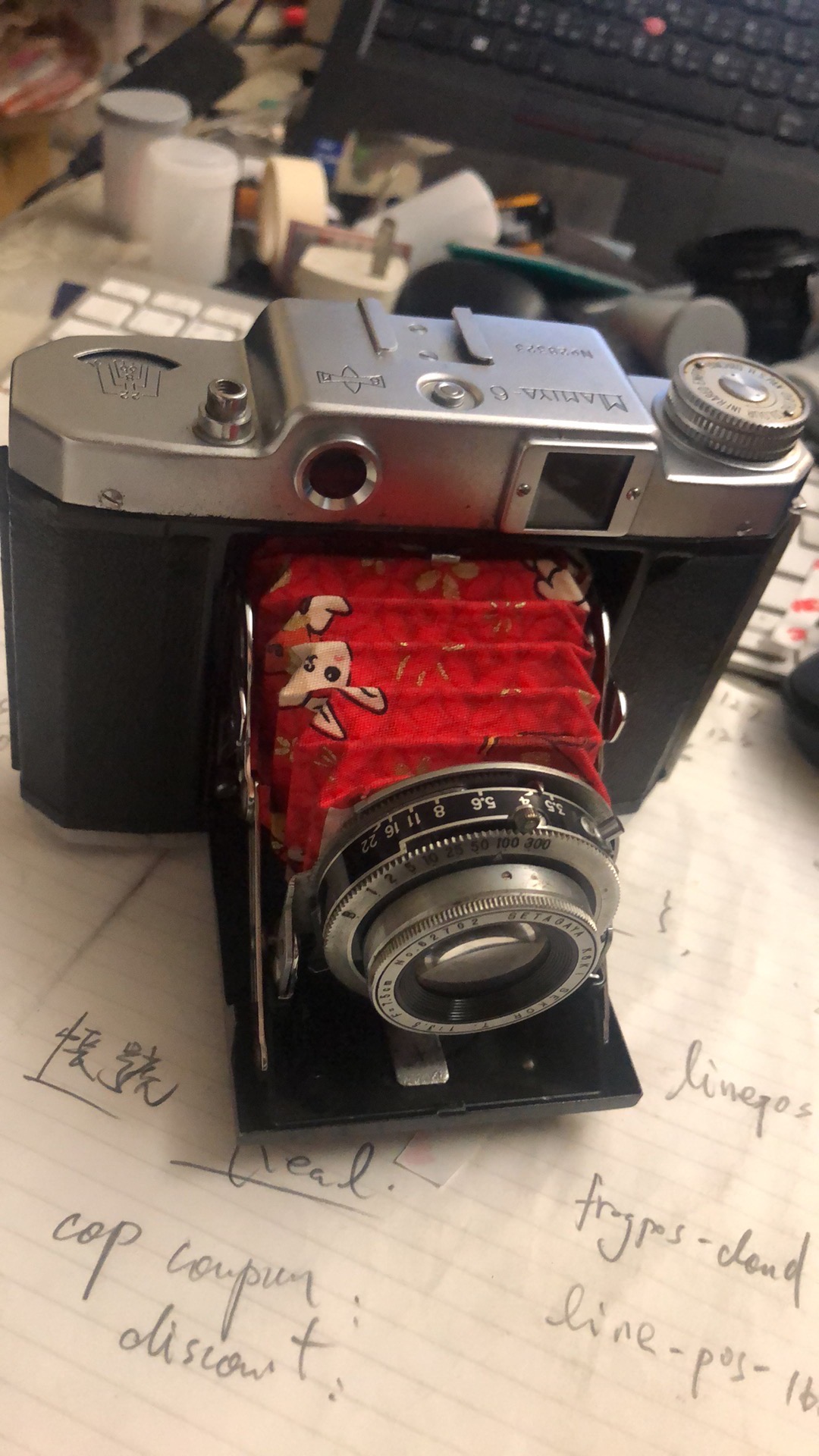 What are your experiences with Mamiya 6 folding camera?
