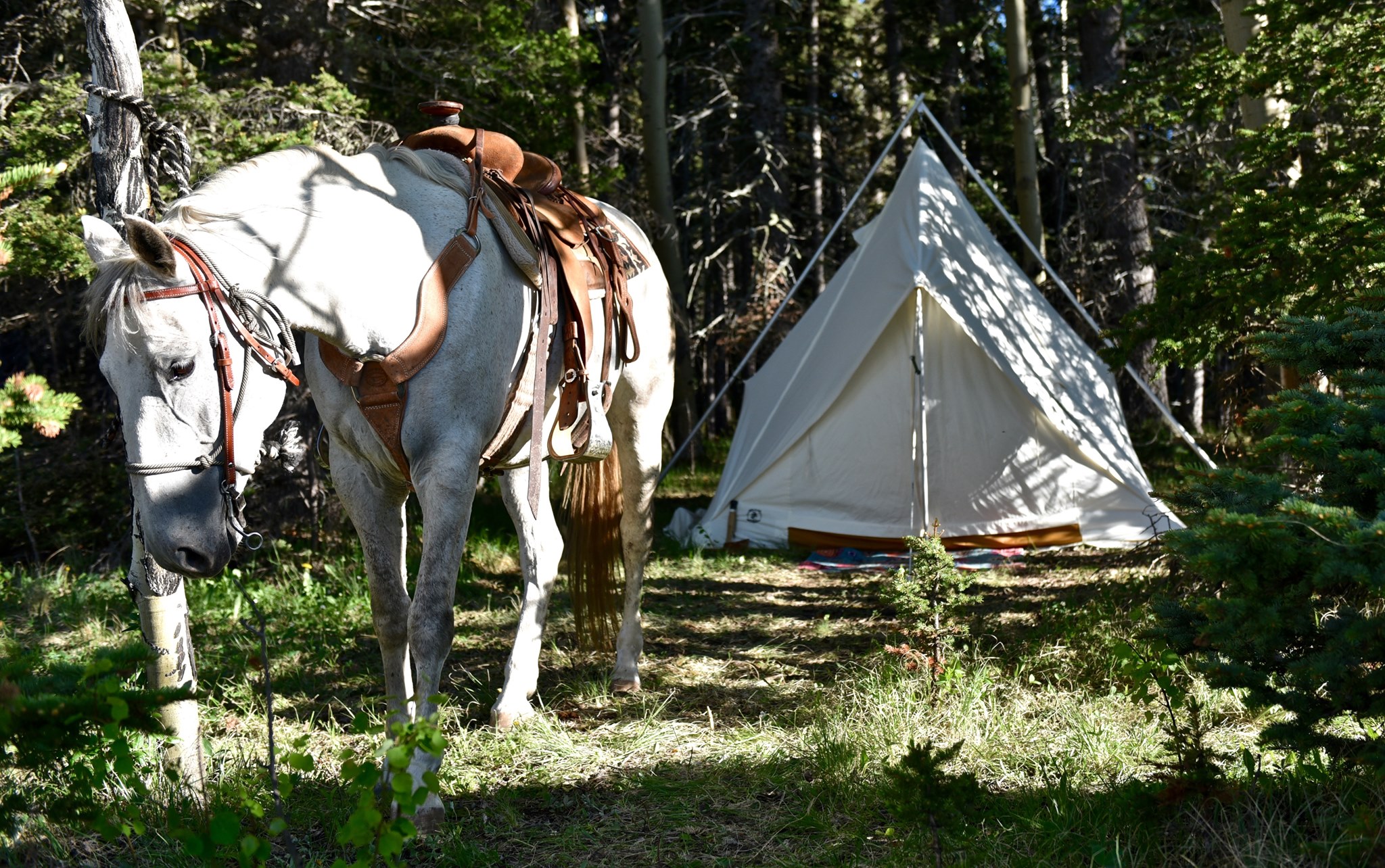 Ellis - Is the Prairie Tent your favorite? Or do you like the 