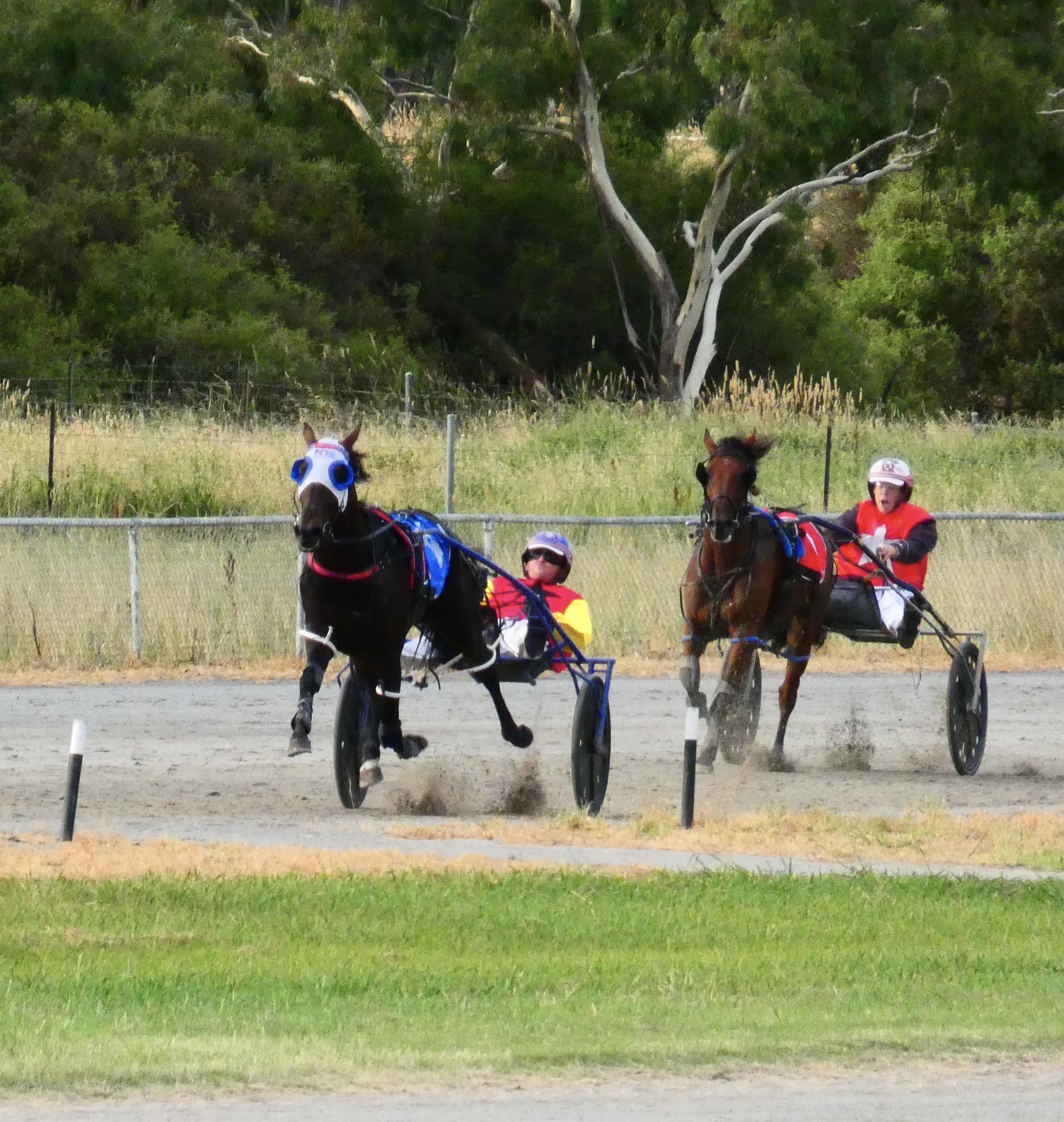 2023 is here…. And that means... - Junee Harness Racing Club | Facebook