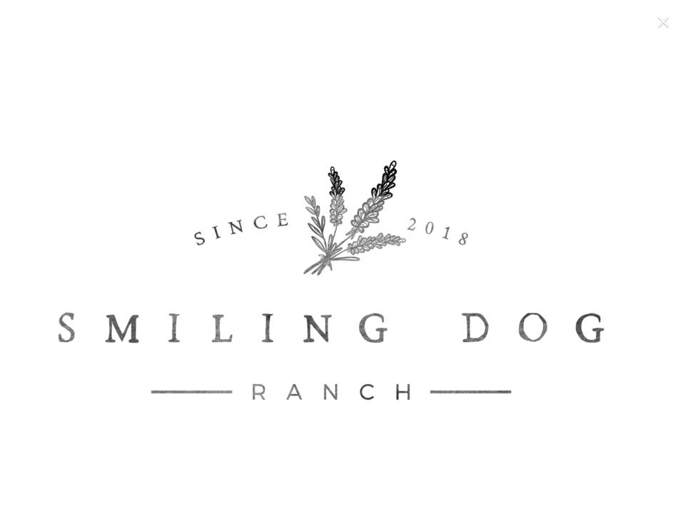 Smiling Dog Ranch