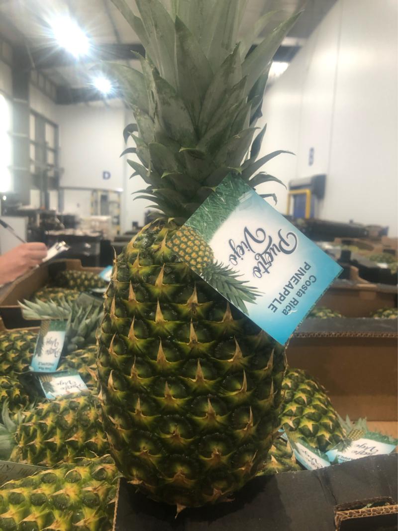 Corefresh Ltd | Rochester