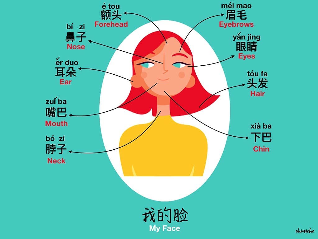 Learn Chinese with Tao - Let's learn how to describe our faces in ...