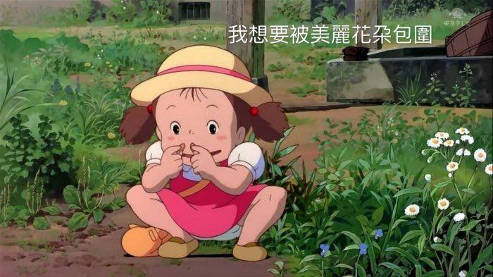 賈汀諾giardino綠意生活 好的 聽到了 沙鹿花店 沙鹿花藝 賈汀諾綠意生活 吉卜力梗圖 龍貓 Facebook