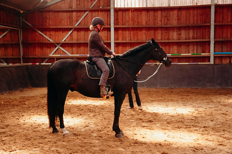 Timless Art of Riding by Nicole Rozema