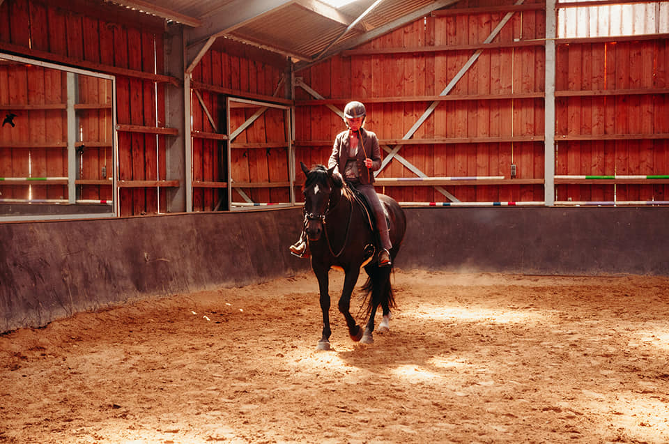 Timless Art of Riding by Nicole Rozema