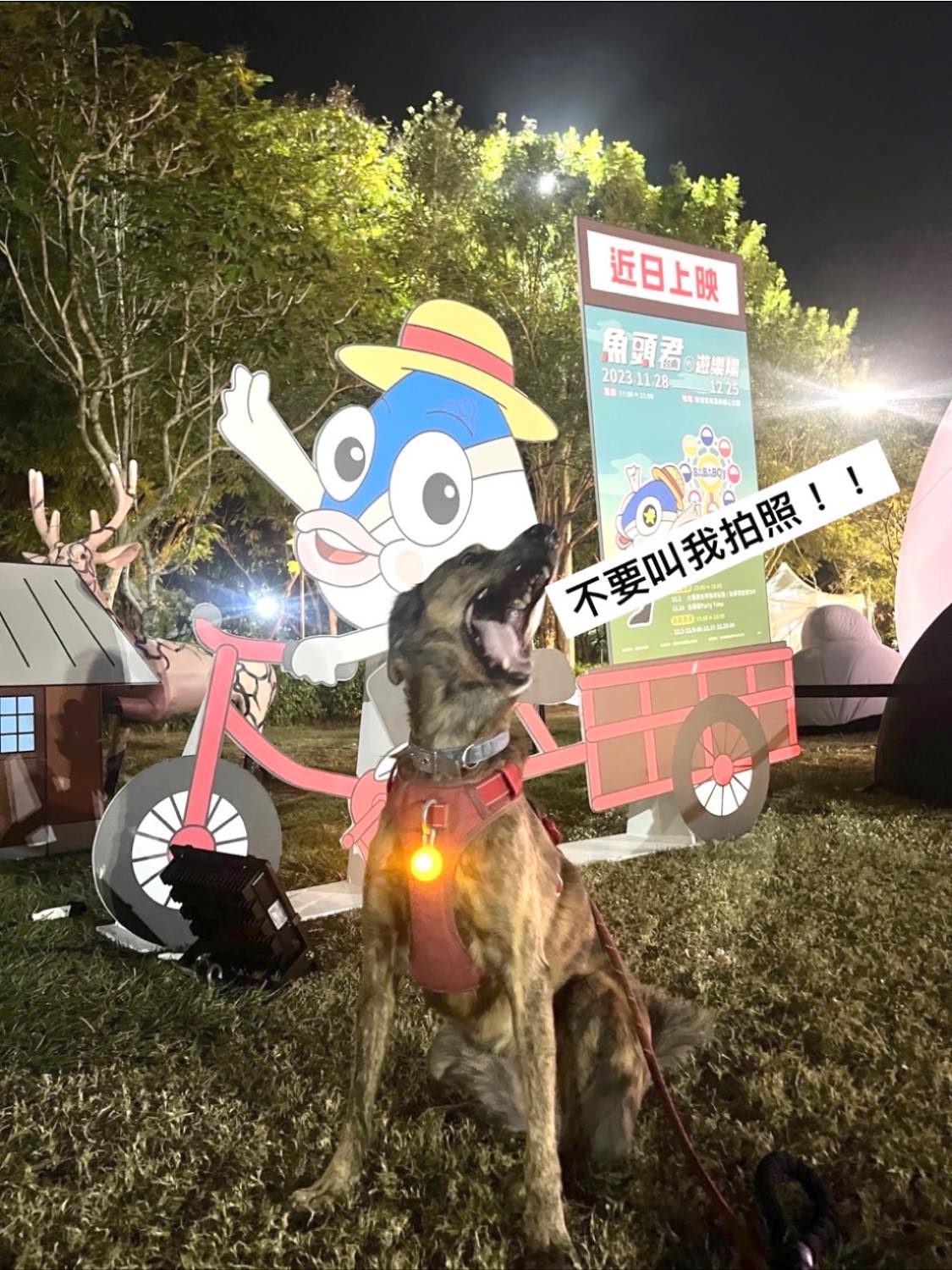 挖洞狗 奶茶