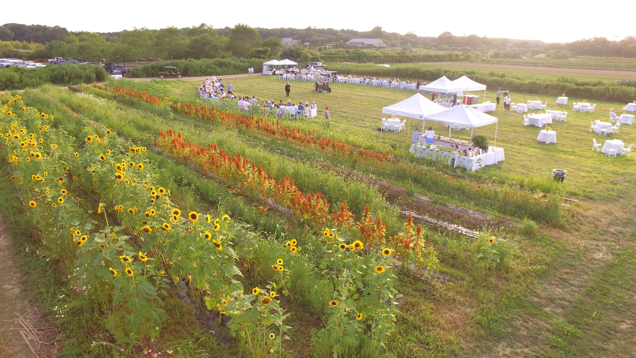 Share The Harvest Farm | East Hampton NY