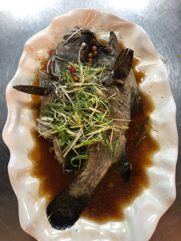 有基