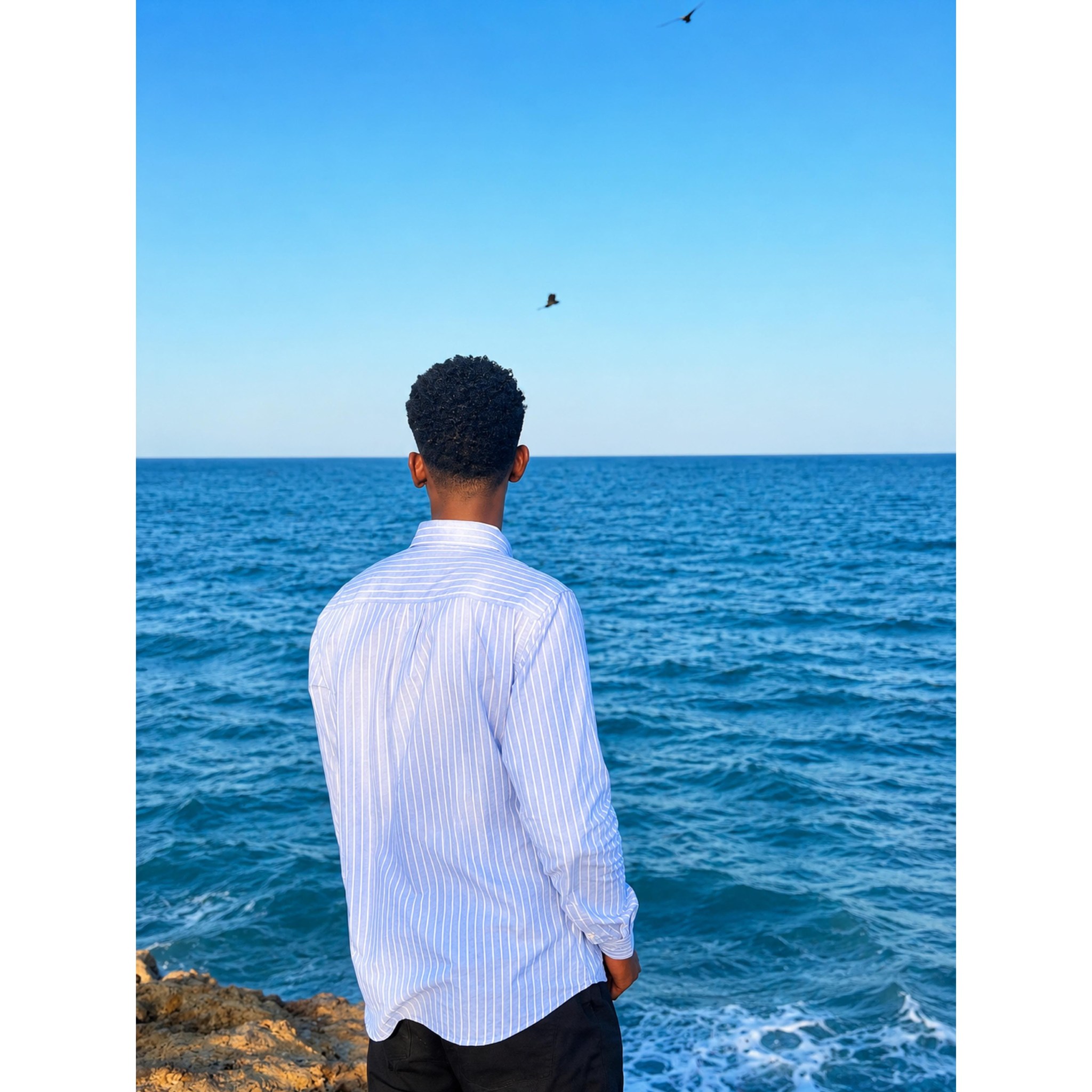 ali-mohamed-hassan