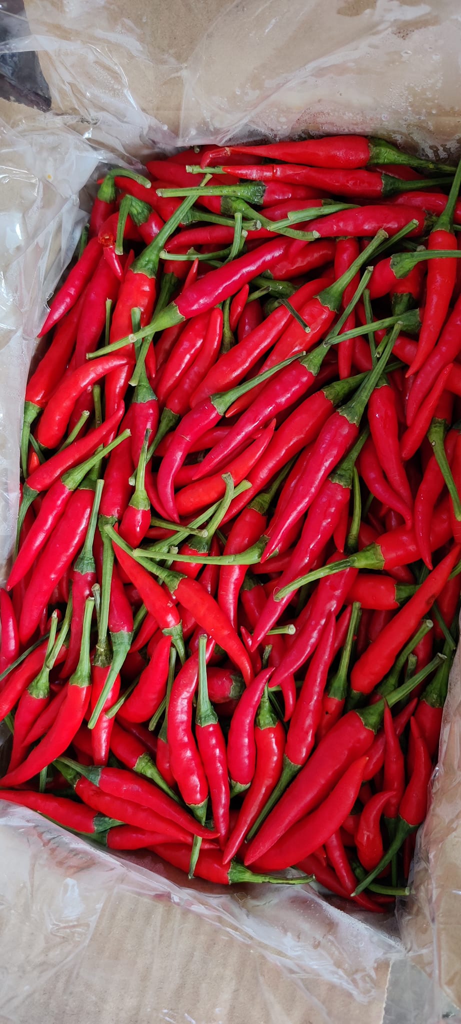 Chili Api Merah 1kg/box RM12... - My Neighbourhood Market | Facebook