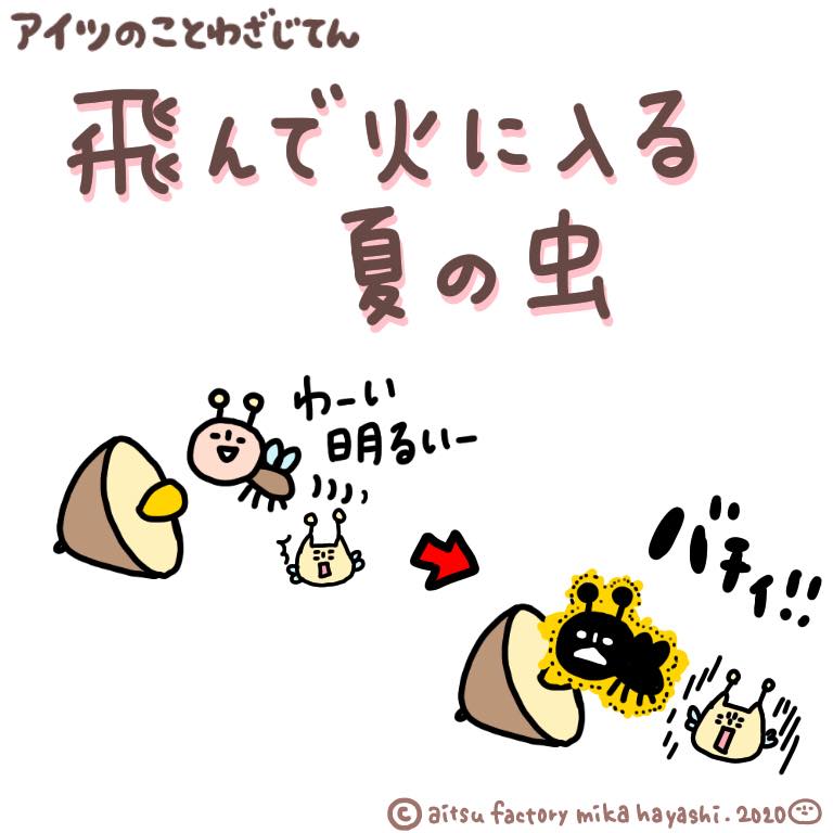 アイツの部屋 - ◎アイツのことわざ◎ 「飛んで火に入る夏の虫」 明る