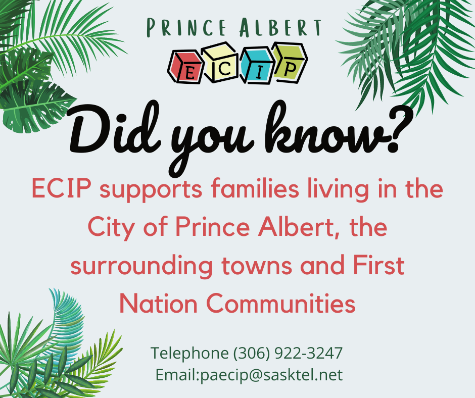 Did... - Prince Albert Early Childhood Intervention Program | Facebook