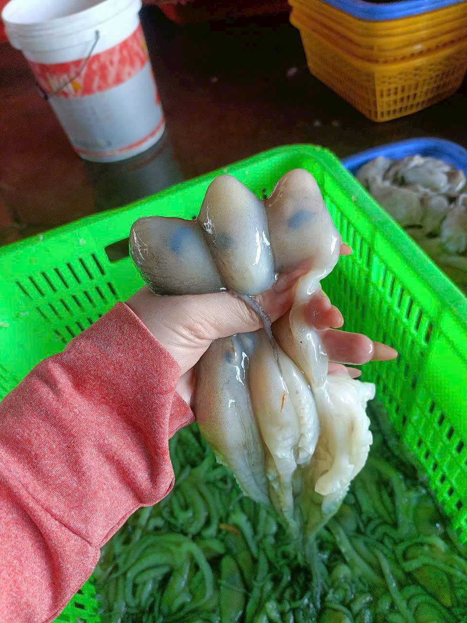 Ship Đồ Ăn Vặt Long An | Mực rừng ngộp | Facebook
