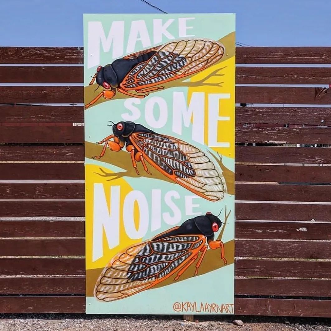 Kayla Ayrn: Art, Illustrations, Insects
