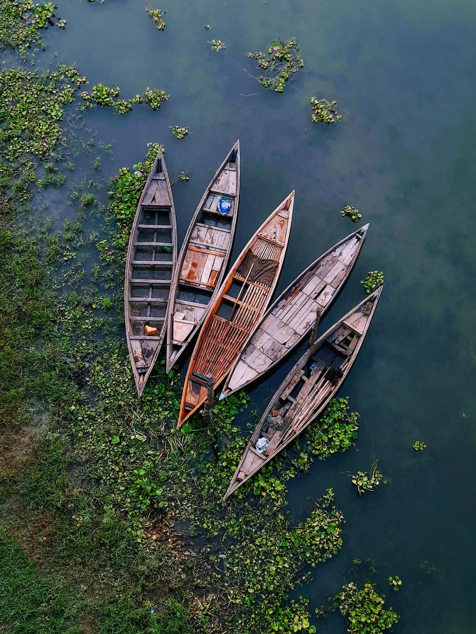 শোল্লা-Sholla | Nawabganj