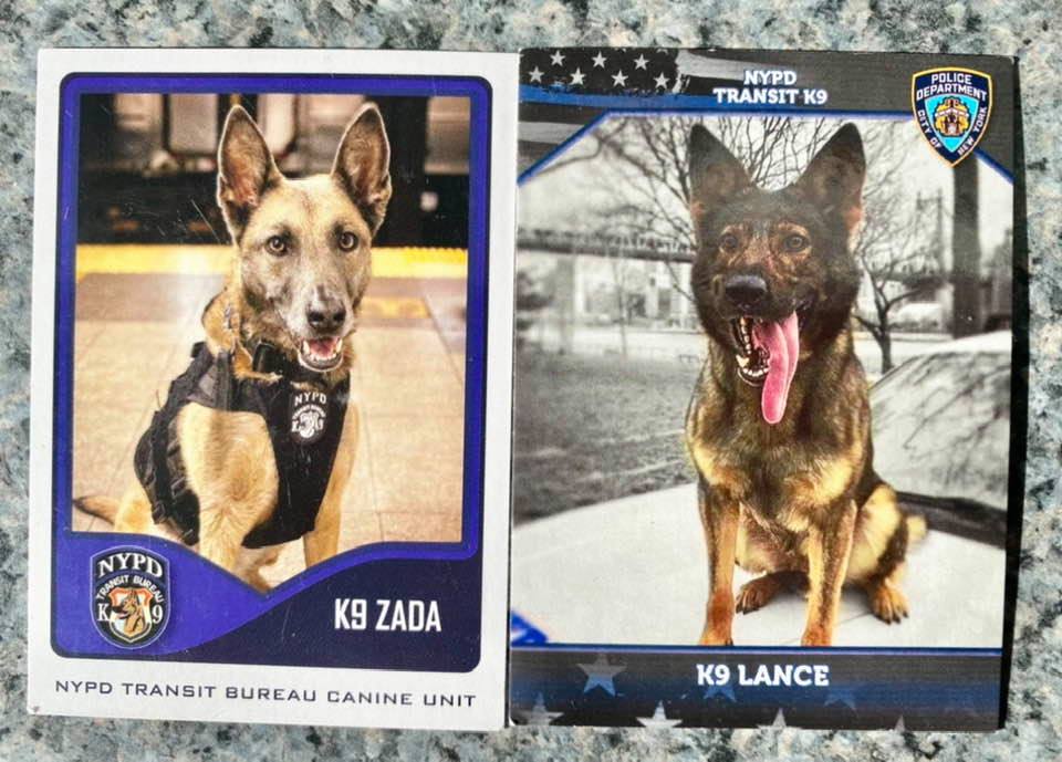 It's been 3 1/2 years since K9 Zada joined NYPD in the Transit K9