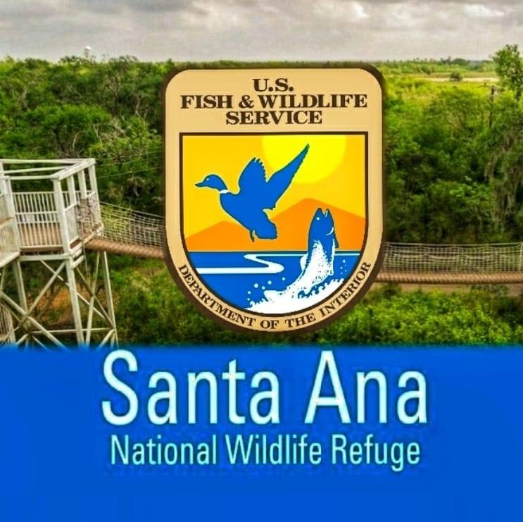 Wildlife Wednesday at Santa Ana 🌿 Butterflies on the wing, retamas in ...