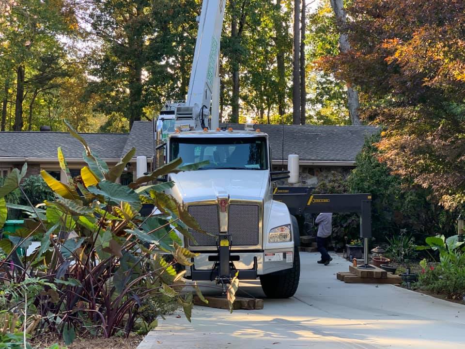 Timberline Expert Tree Service | Norcross GA