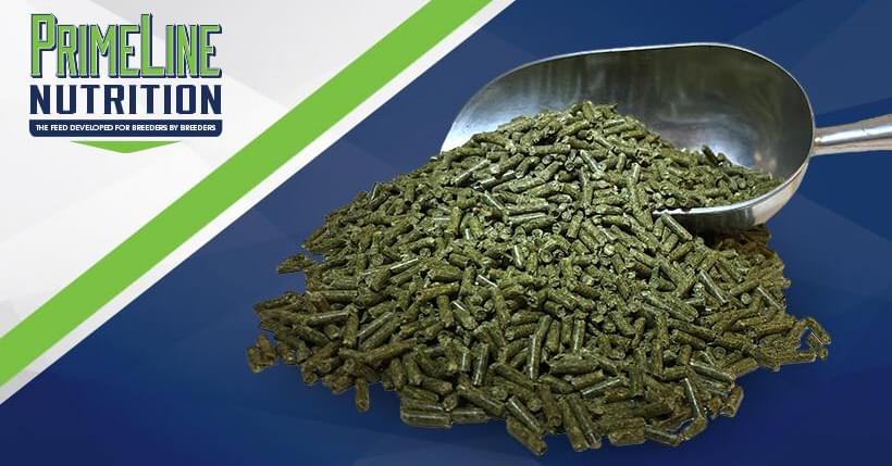 PrimeLine Nutrition