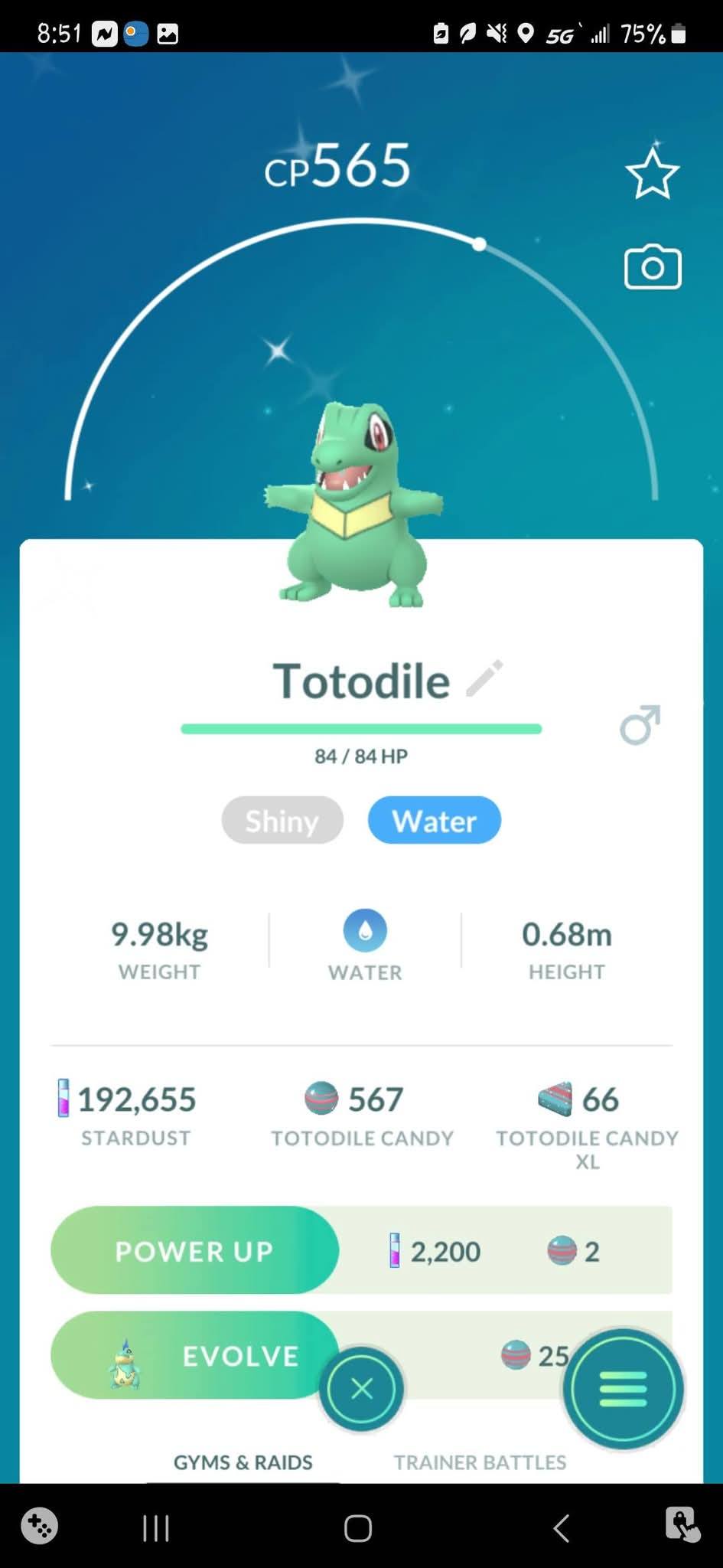Pokémon Shiny Charmander ( Party Hat ) ( Level 1 ) GO