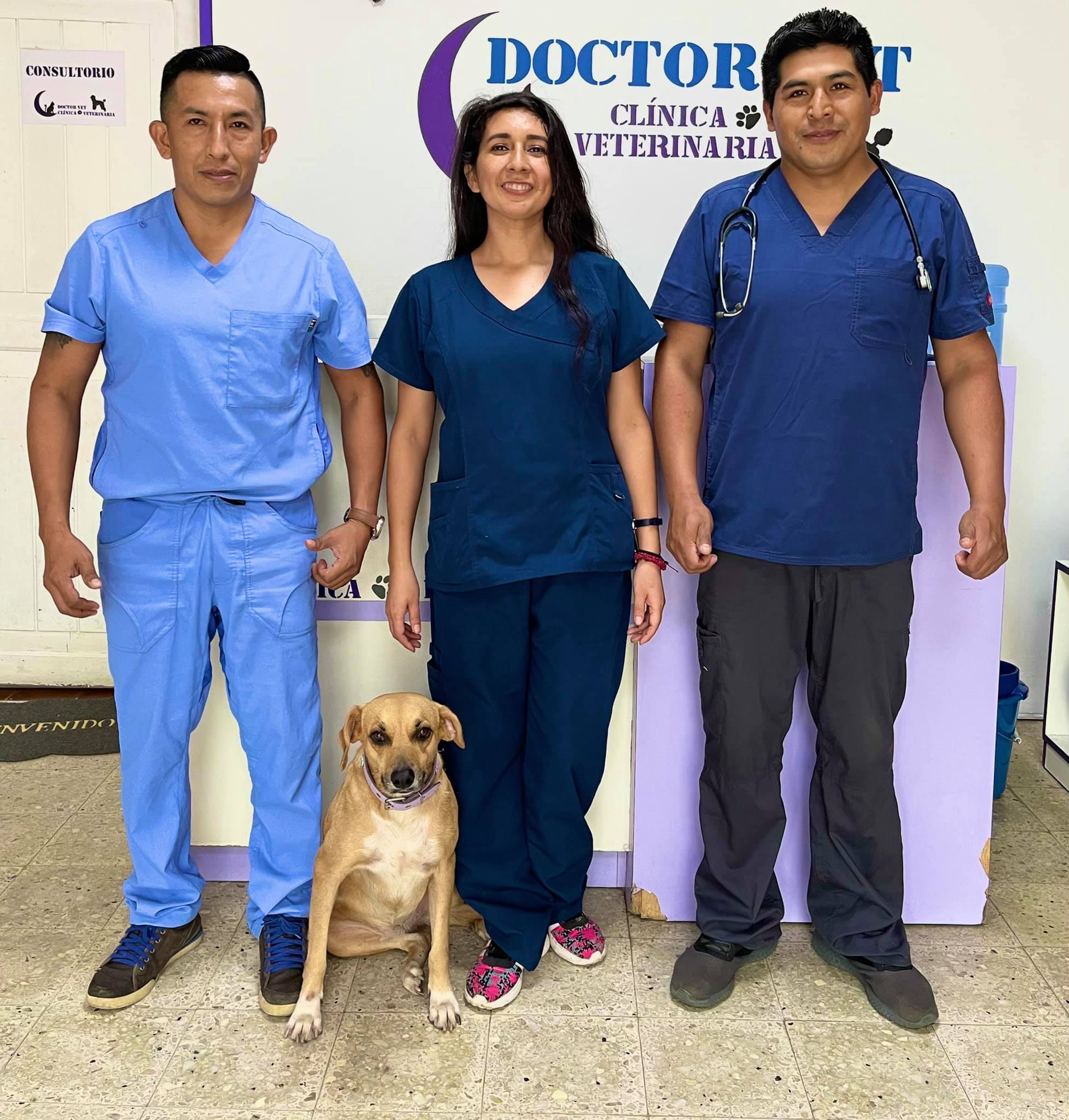 ‼️Feliz día Nacional del... Clínica Veterinaria Doctor Vet Facebook