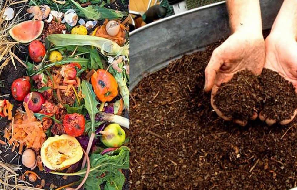 Keep It Green Compost | Albany VT