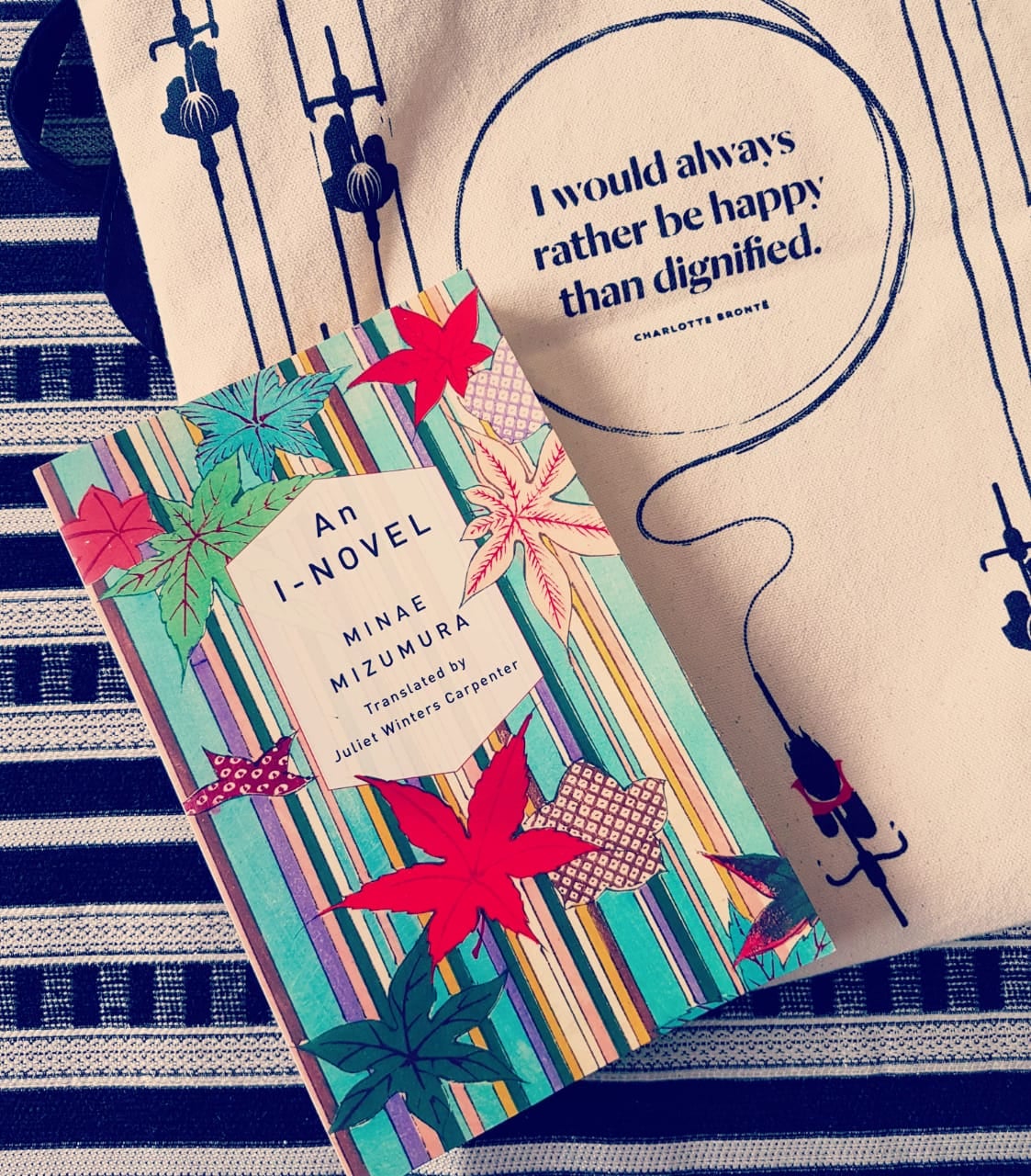 Minae Mizumura's 'A True Novel' review