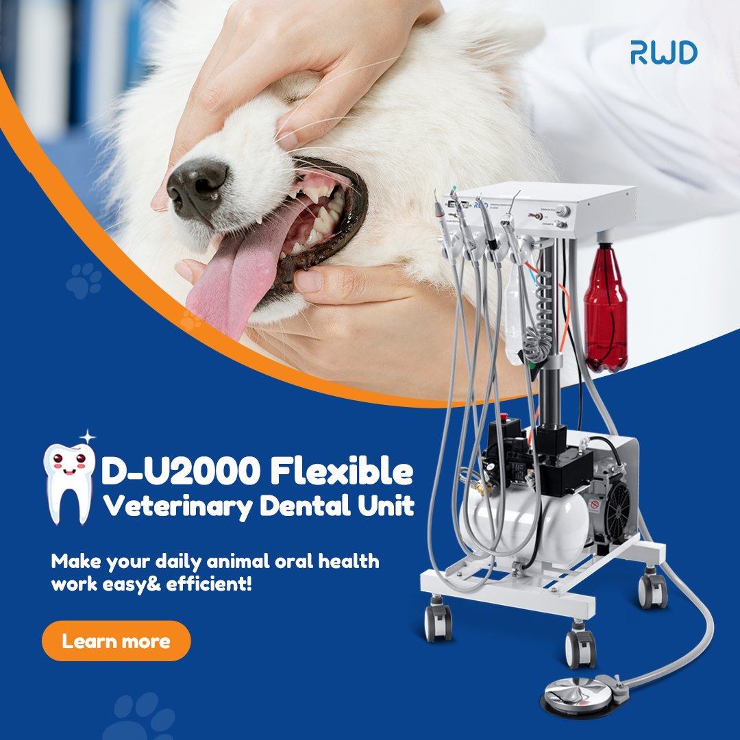 RWD Life Science Egypt