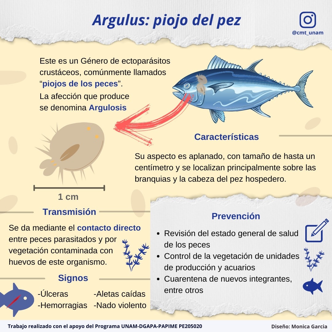 Centro de Medicina Tropical, Facultad de Medicina, UNAM - 𝘼𝙧𝙜𝙪𝙡𝙪𝙨 ...