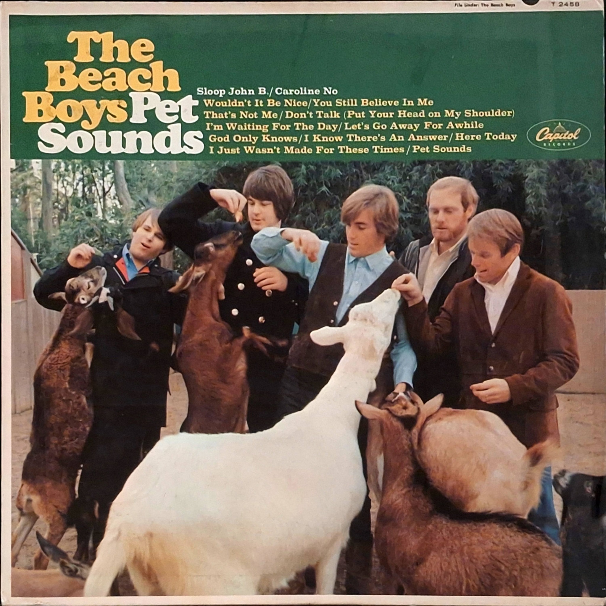 Finding a rare 1966 Pet Sounds mono record in my dad's collection