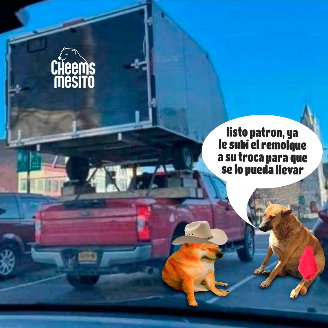 Cheemsmesito - 🐕 