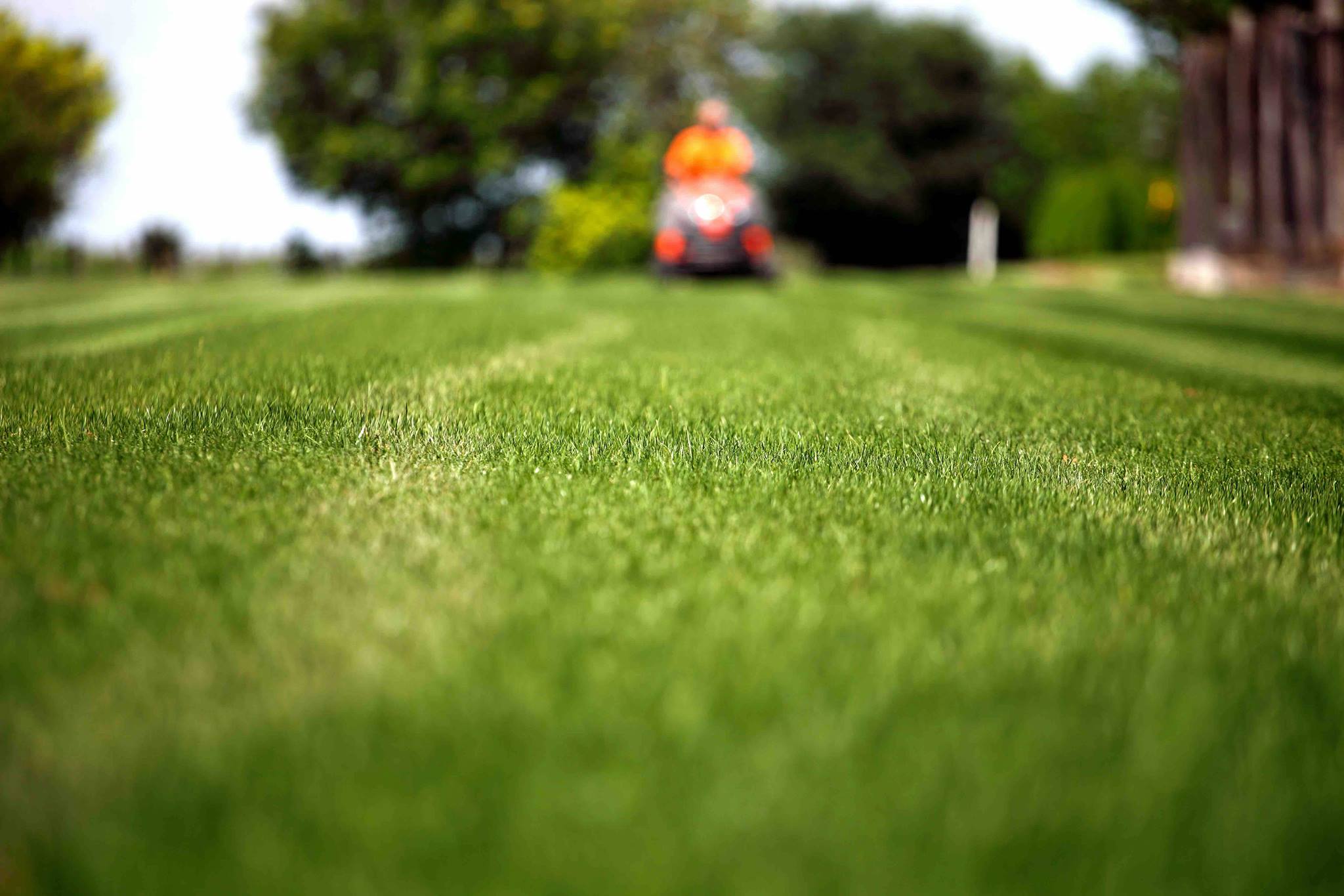 Lincoln Lawn Services | Lincoln NE