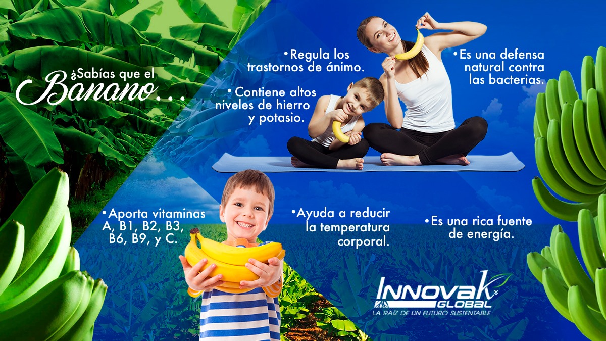 Innovak Global - Recuerda la importancia de llevar una... | Facebook
