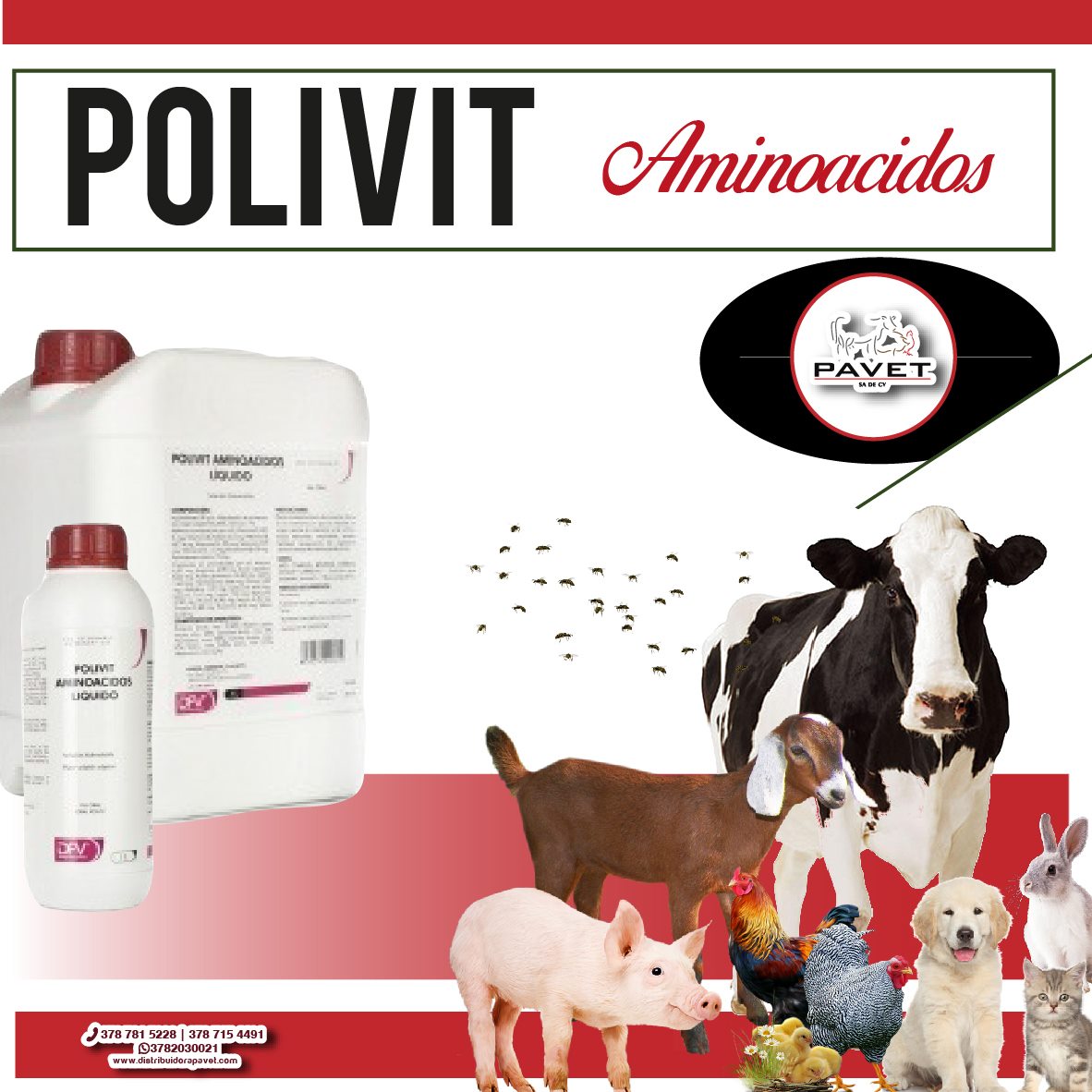 Pavet - El Polivit vía oral. Tiamulina Inyectable y el... | Facebook