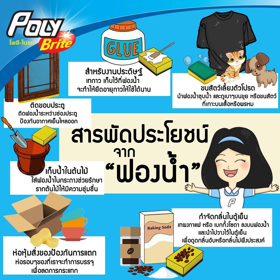 Poly-Brite - รู้ไหมว่า?? ฟองน้ำล้างจาน... | Facebook