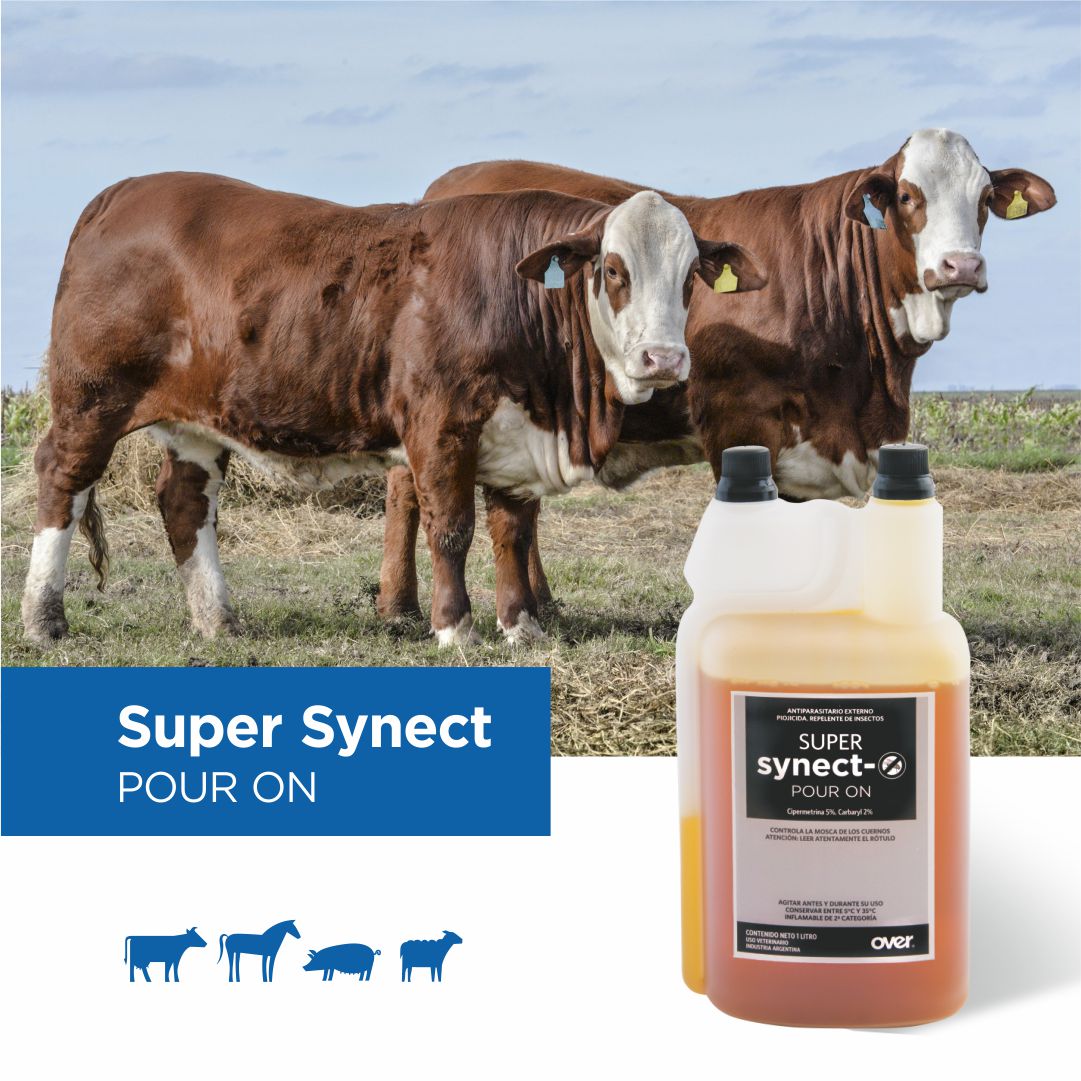 OVER Medicina Veterinaria - Super Synect Pour On 🐄🐎🐖🐑 Antiparasitario ...