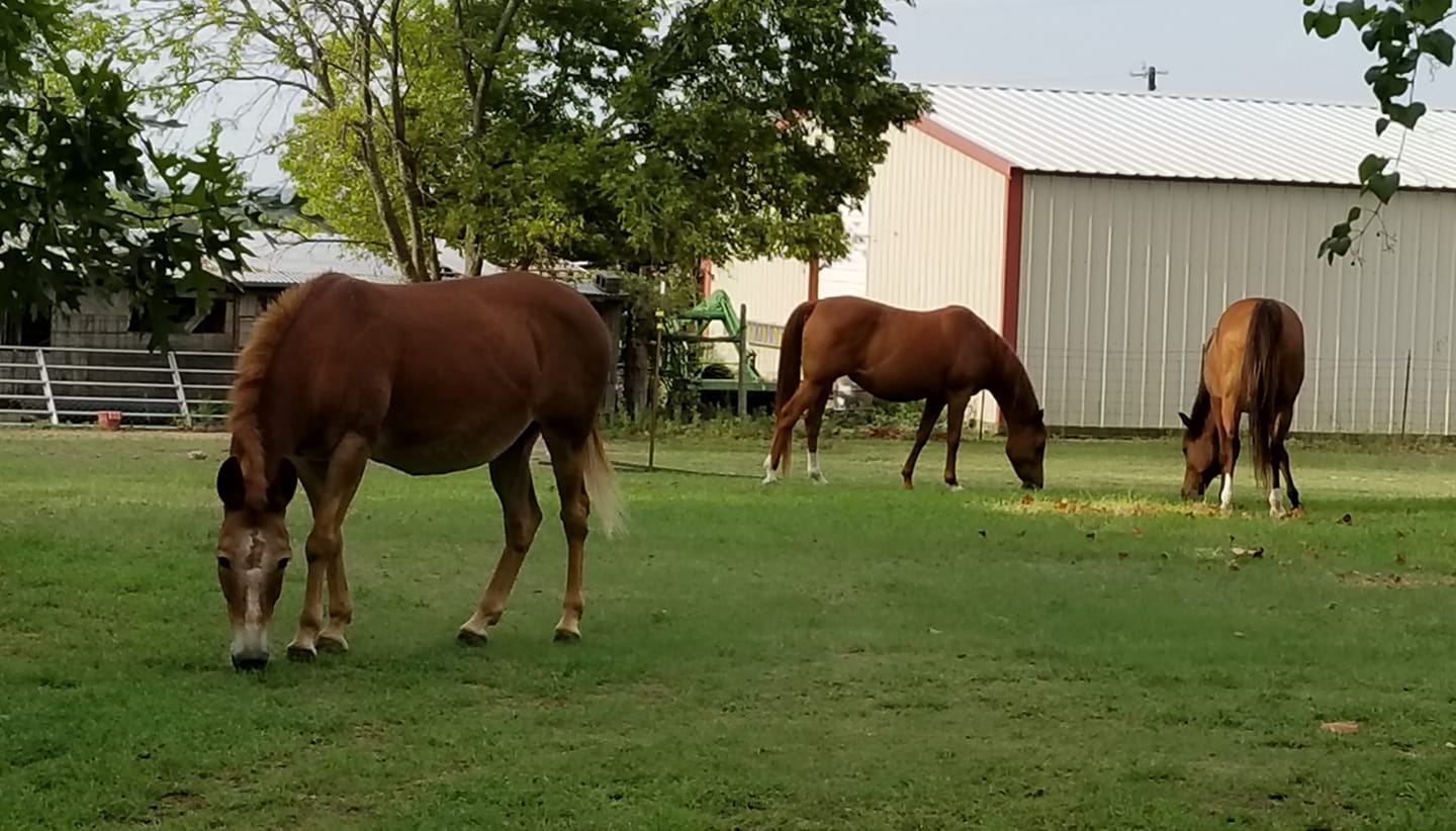 Rocky Ridge Ranch