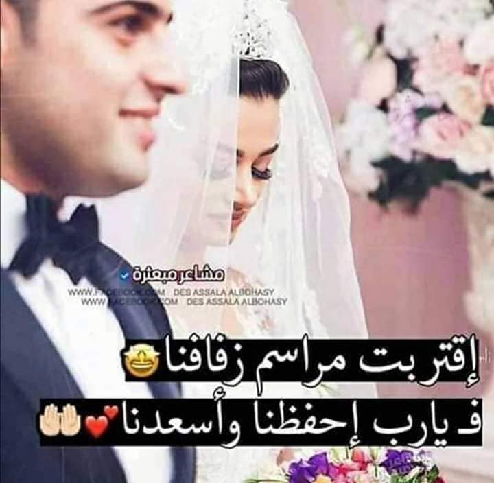 اقت رب موع د ز فآفي و ح ــــــــل م ي الصـــغ ي ر Facebook