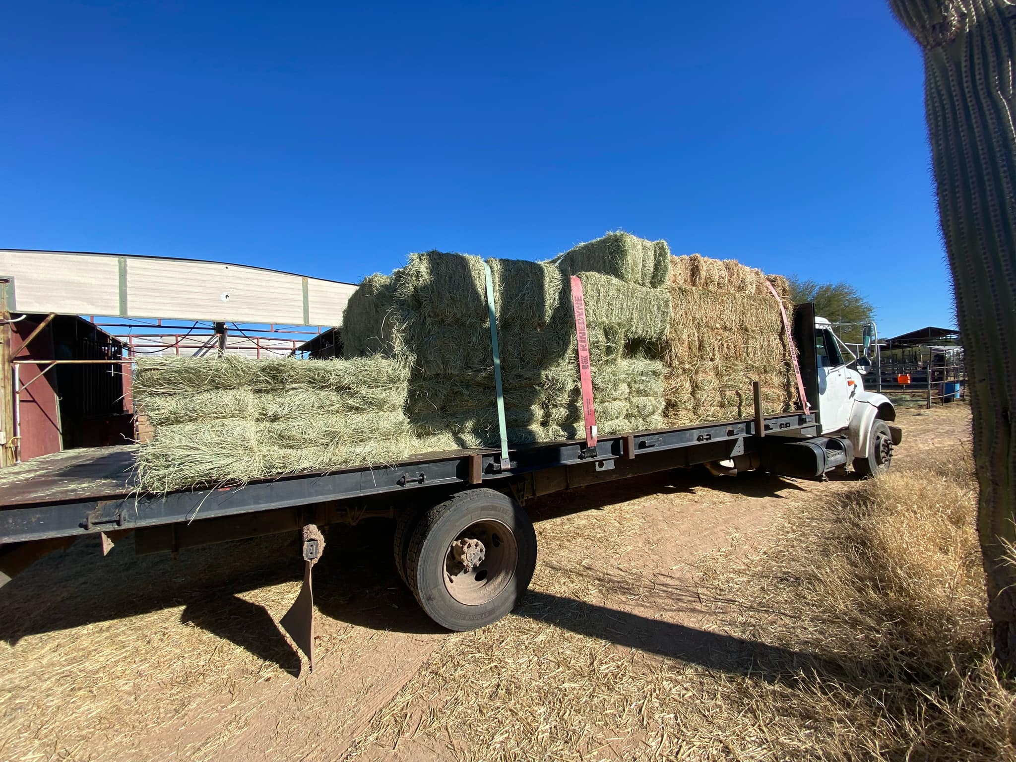 Western Hay Sales & Delivery Home
