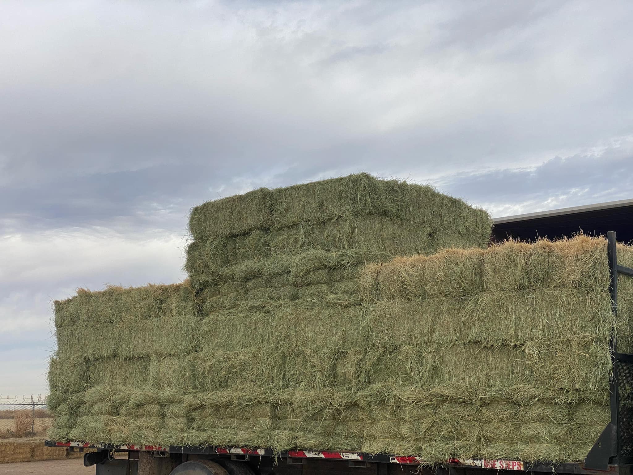 Western Hay Sales & Delivery Home