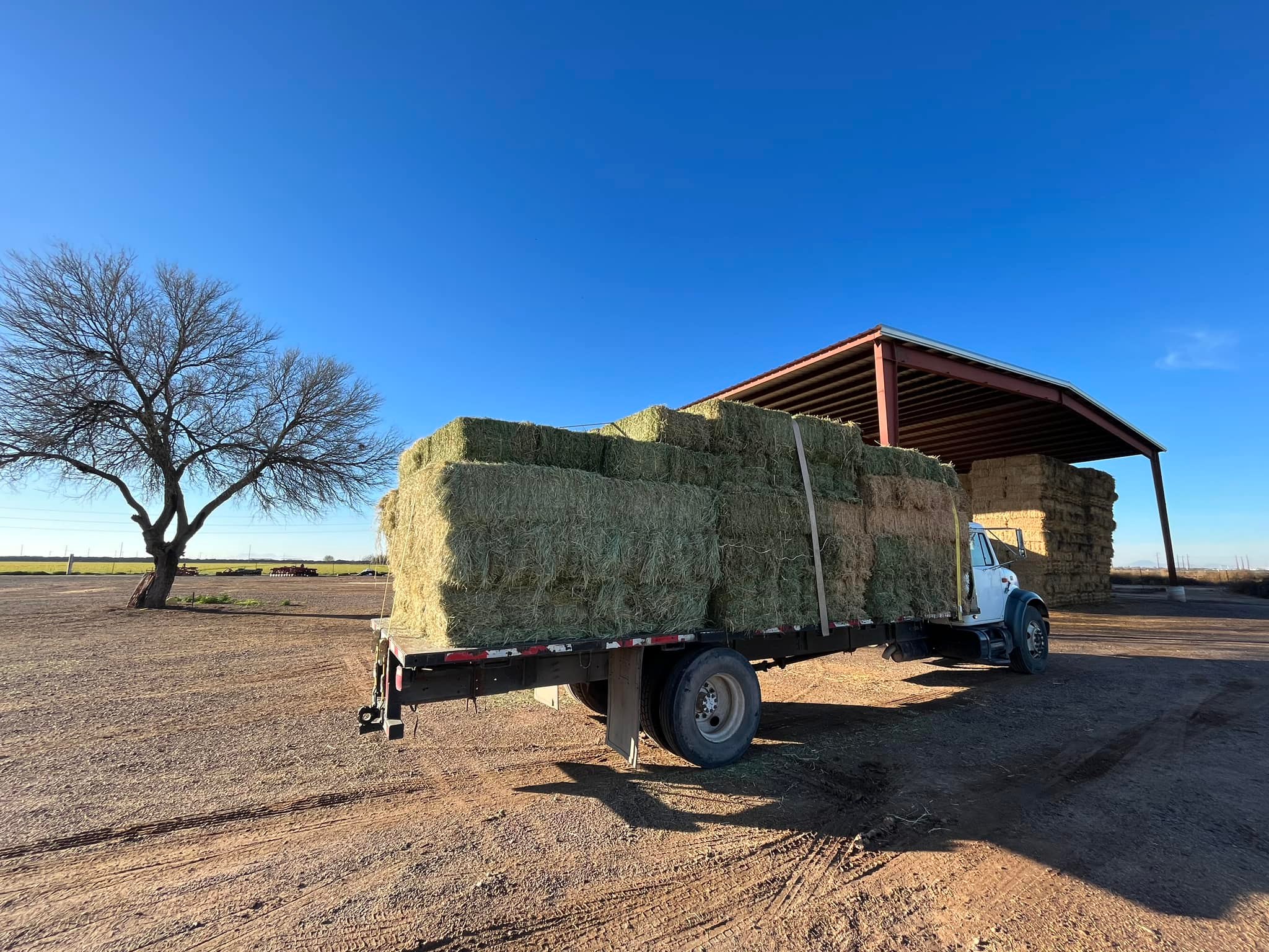 Western Hay Sales & Delivery Home
