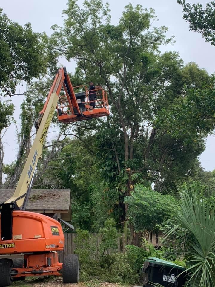 J.L.B Lawn & Tree LLC