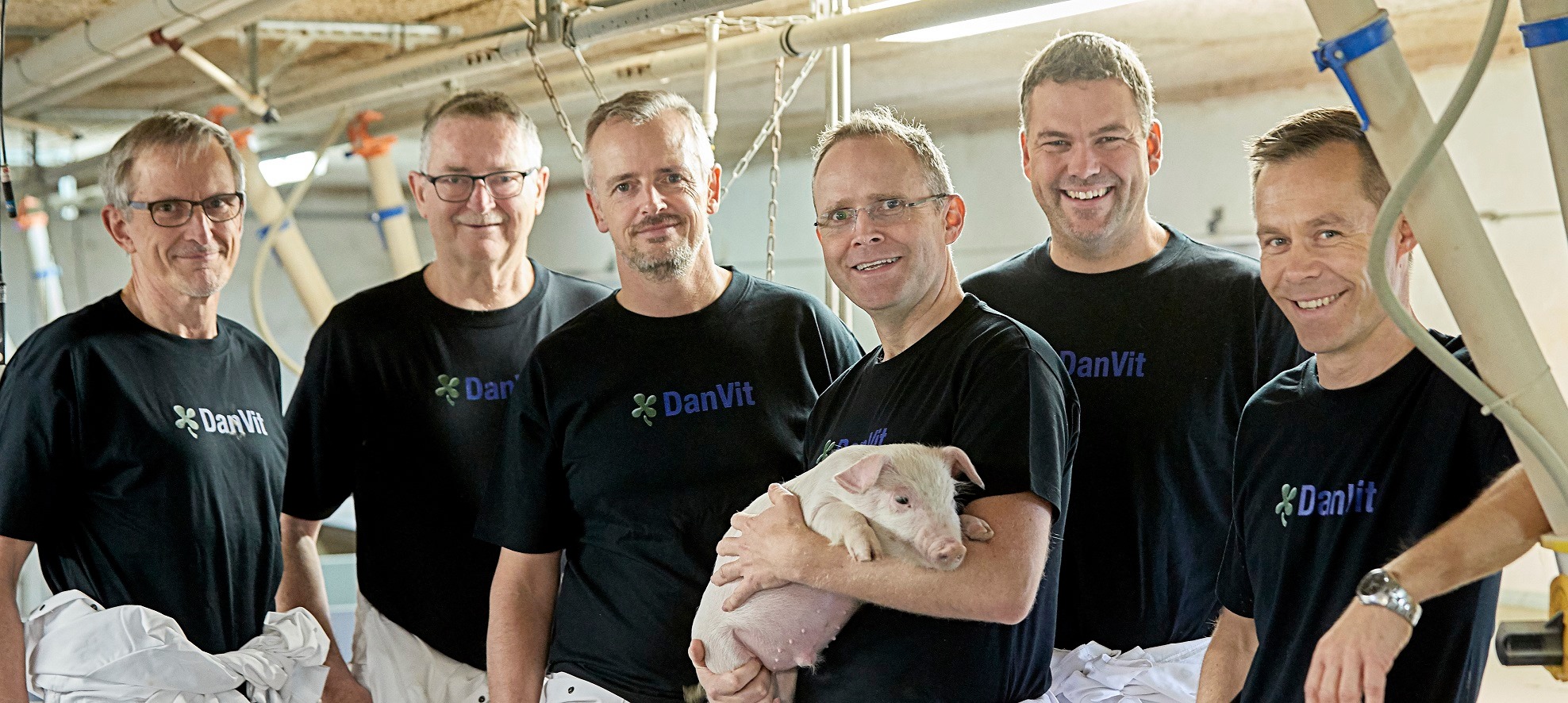 global-pigs-viborg