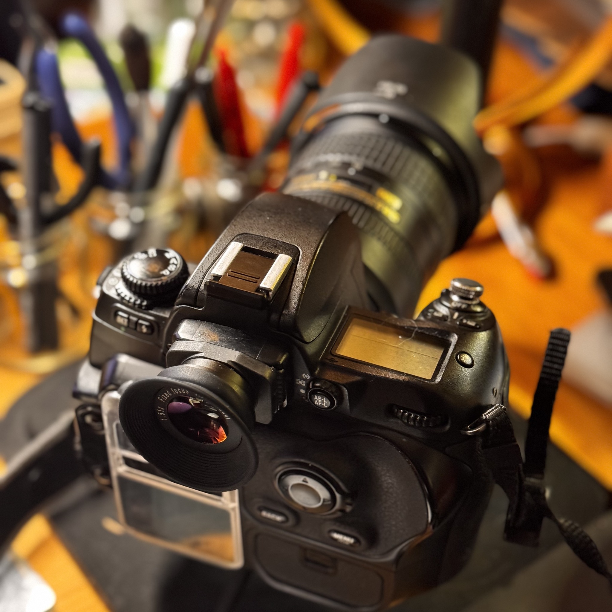 Fujifilm S3Pro still in use after 20 years with Nikon AF-S Nikkor 