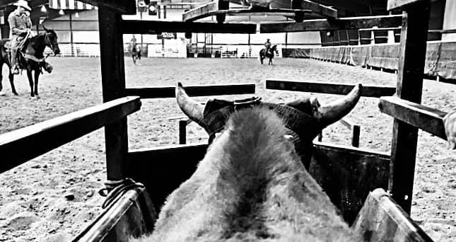 Jeffco HS Rodeo | Lakewood CO
