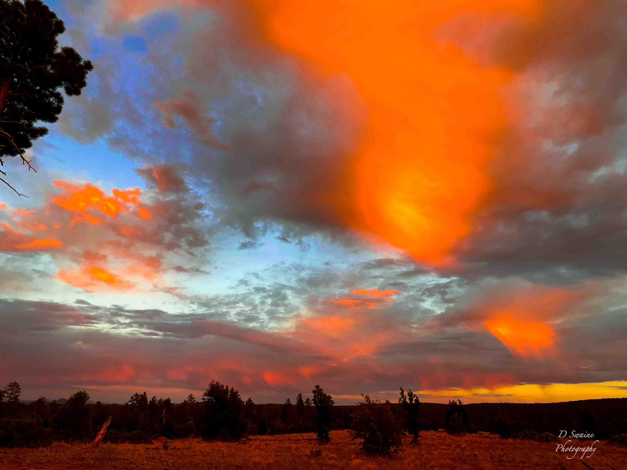 Sunset over AZ SR-260 in Sitgreaves National Forest