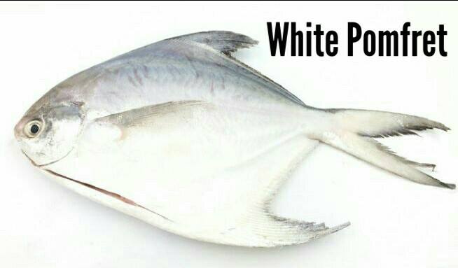 Anwar Wali Seafood Supplier | Karachi