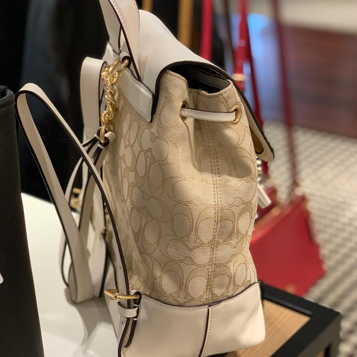 coach elle backpack with quilting Disney X Dalmatian Floral Print Coach Backpack Elle Backpack In