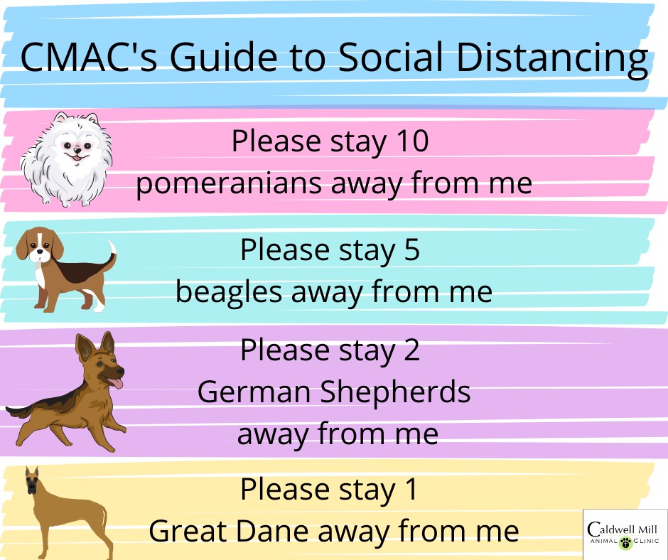 A visual guide to social... - Caldwell Mill Animal Clinic
